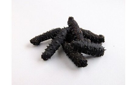 Q-14乾燥なまこ(干しなまこ)A級品