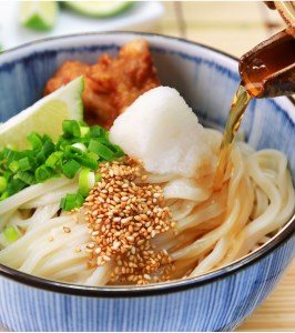 [定期便]本場純生讃岐うどん 10人前つゆ付 年6回奇数月に発送[H-48]