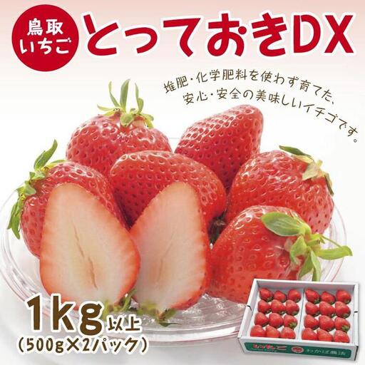 とっておきDX 1kg 鳥取いちご【とみハウス】