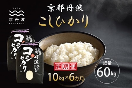 【6回定期便】 京丹波こしひかり 10kg×6カ月連続 合計60kg 令和8年産 [090MB003R]