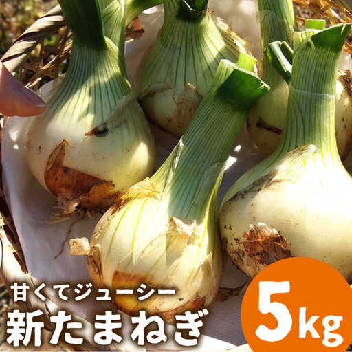【2027年3月-発送】【甘くてジューシー 】新たまねぎ 先行予約 サラダ たまねぎ 5kg  / 玉ねぎ たまねぎ タマネギ 新たまねぎ 新玉ねぎ /  南島原市 / 長崎県農産品流通合同会社 [SCB025]