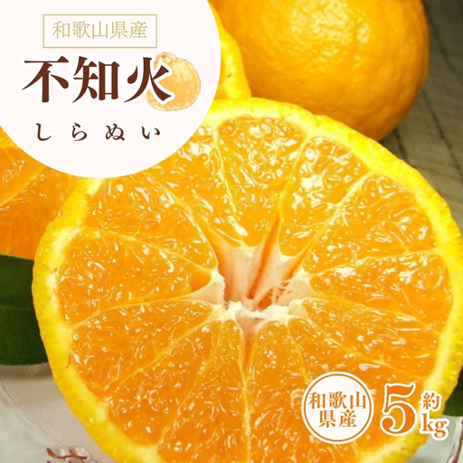 デコ不知火（デコポン） 約5kg/サイズおまかせ　※2027年2月上旬～2027年4月上旬頃に順次発送予定(お届け日指定不可)　紀伊国屋文左衛門本舗　【ntbt420A】