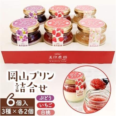 岡山プリン3種詰合せ　6個入(いちご・ぶどう・白桃)_菓子・スイーツ プリン  _【配送不可地域：離島】【1130057】