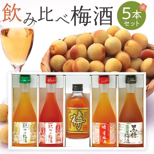 飲み比べ5本セット（白・赤・蜂蜜・黒糖・樽）紀州の梅酒［MG69］