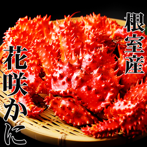 【北海道根室産】花咲かに400g前後～550g前後×3尾 A-70030