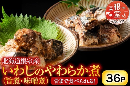 【北海道根室産】骨まで食べられる！いわしのやわらか煮セット B-09009