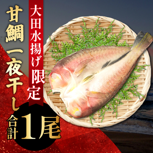 「一日漁」甘鯛一夜干【干物 鯛 甘鯛 1尾 約27cm 約300g 国産 魚介類 魚 あまだい たい タイ 一夜干 一日漁 無添加 天日塩 特産品 お取り寄せ グルメ 贈答 ギフト プレゼント 父の日 母の日】