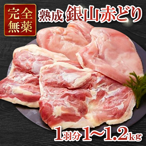 [熟成]地鶏の銀山赤どり精肉(1羽分)[鶏肉 もも肉 むね肉 1羽分 まるごと 1kg〜1.2kg 鶏 地鶏 赤鶏 赤どり 熟成 無農薬 安心 安全 長期飼育 唐揚げ 焼き鳥 すき焼き 冷凍 国産 島根県 大田市]
