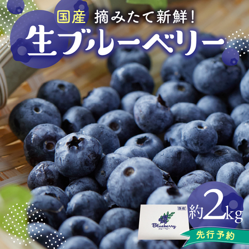 [2027年発送] 先行予約 木津川市産ブルーベリー約2kg 生ブルーベリー 新鮮 国産 果物 小分け 080-03