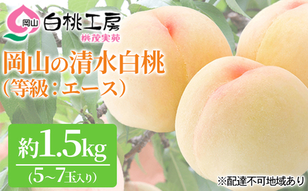 桃 先行予約 清水白桃 等級エース 約1.5kg 5〜7玉 もも モモ 岡山 果物 桃