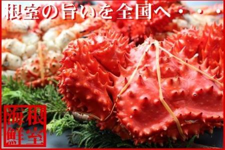 【北海道根室産】花咲ガニ800～900g前後×1尾 B-57019