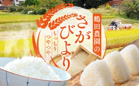 【令和7年産新米予約】ひとみちゃんちの「さがびより」10kg 046-B992