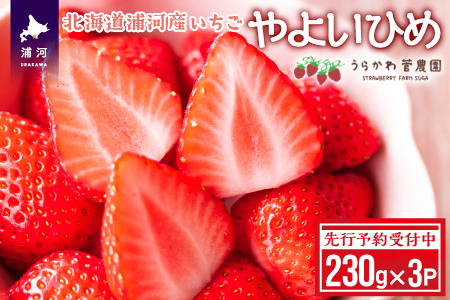 [先行受付開始!]北海道浦河産いちご「やよいひめ」230g×3P[13-883]