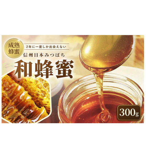 はちみつ日本みつばち 和蜂蜜（300g） はちみつ