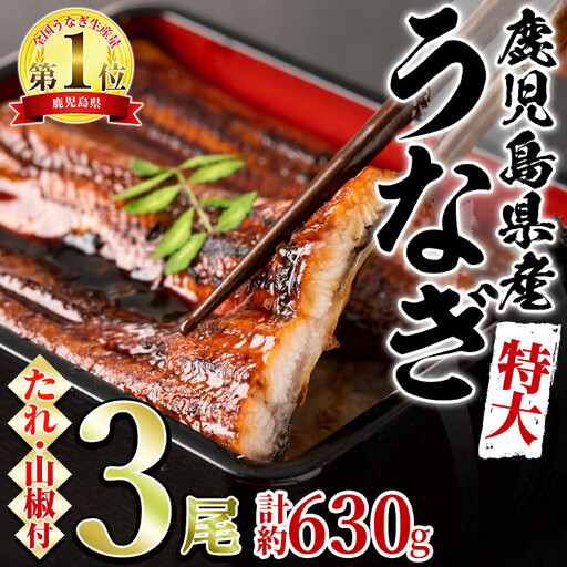 東串良町のうなぎ蒲焼(無頭)(3尾・計約630g・タレ、山椒付)うなぎ 高級 ウナギ 鰻 国産 蒲焼 蒲焼き たれ 鹿児島 ふるさと 人気【アクアおおすみ】【0204356a】