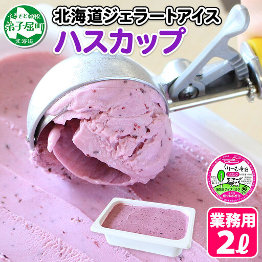 アイスクリーム ハスカップ ジェラート 業務用 2リットル 2L アイス 大容量 手作り 北海道 弟子屈町 607