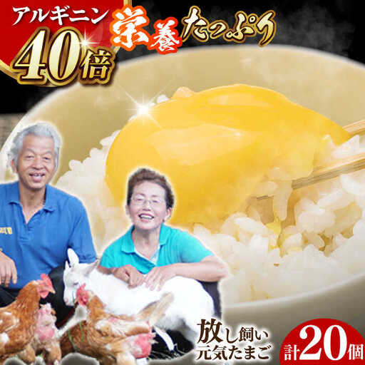 アルギニン元気たまご20個[浅田峠自然塾][EA01] 平飼い卵 放し飼い卵 たまご