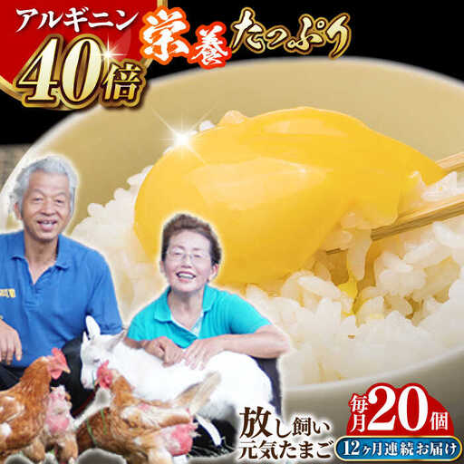 [全12回定期便]アルギニン元気たまご20個[浅田峠自然塾][EA04] 卵 定期便 卵 平飼い卵 たまご