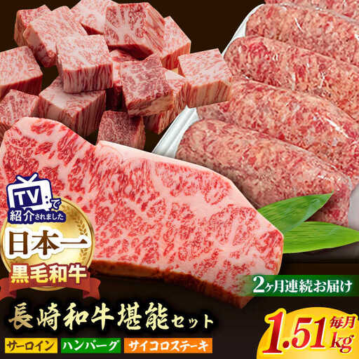 【全2回】 サーロイン サイコロステーキ ハンバーグ 総量3kg以上 セット 長崎和牛 [NA65] 肉 牛肉 サーロインステーキ 焼肉 おかず 惣菜 定期便