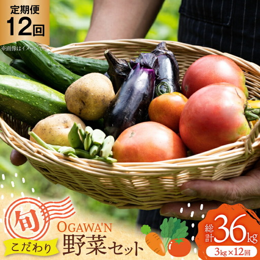 OGAWA'N 野菜 セット 定期便 12回
