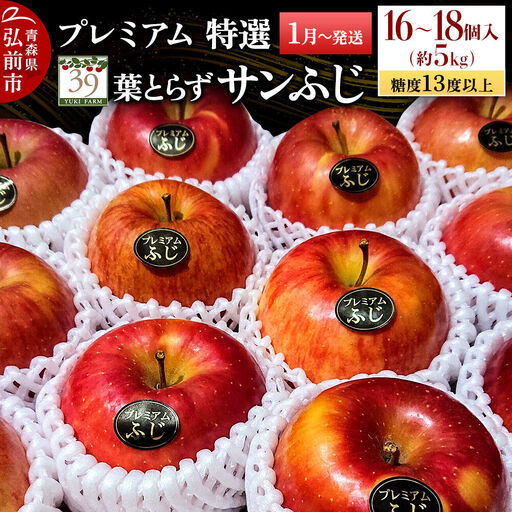 りんご 葉とらずサンふじ【特選】約5kg（16～18個）先行受付