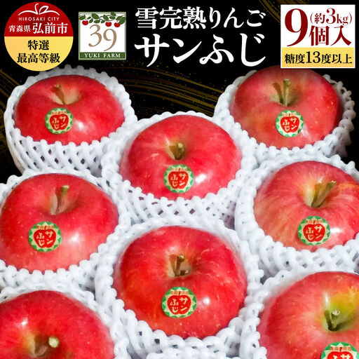 りんご サンふじ【特選】約3kg（9個）最高等級 先行受付