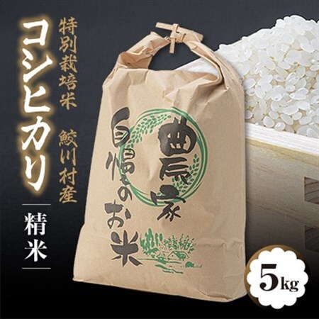 鮫川村産コシヒカリ(精米)5kg【1210534】