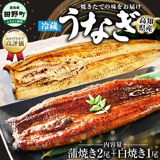 特選うなぎの蒲焼き2尾+白焼き1尾入り 特製タレ付き ヤマシン[特選うなぎ]