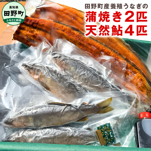 うなぎの蒲焼き2匹と天然鮎4匹セット