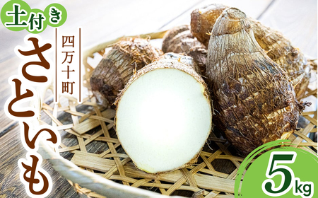 【四万十町産】 土付き さといも 5.0kg ／Fiz-A06 里芋