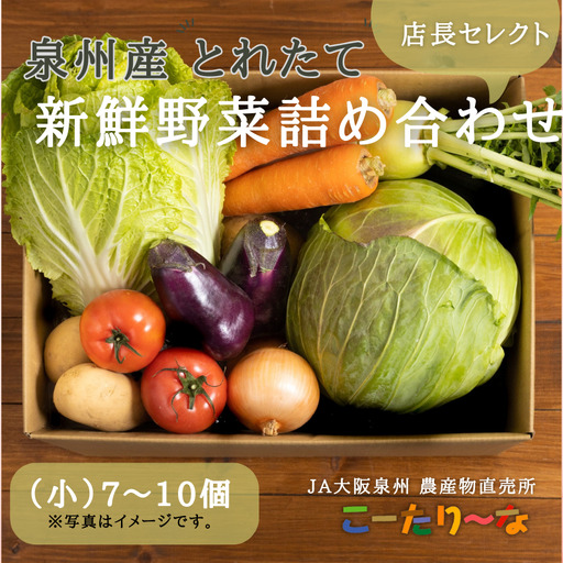 JA大阪泉州 直売所店長セレクト 新鮮野菜セット 7〜10個