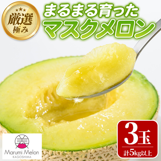  マスクメロン （3玉・計5kg以上) フルーツ 果物 果実 まる美園芸組合 0352206a