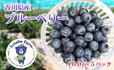 ブルーベリー Lucaho Farm 100g×5p 香川県産 冷蔵ブルーベリー フルーツ 果物 くだもの 旬のフルーツ 旬の果物 香川 香川県 東かがわ市