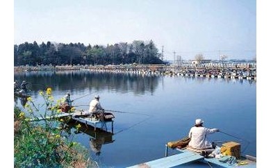 兎谷津へら鮒センター1日釣券3枚セット