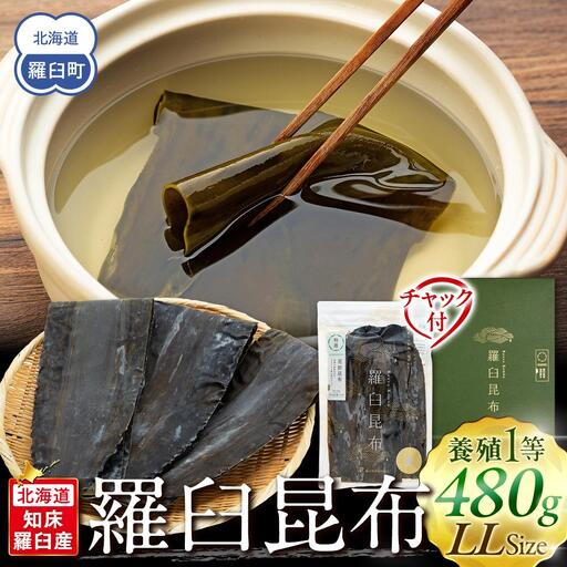 羅臼昆布 養殖 1等 (LLサイズ480g×1個)  昆布 知床 だし 和食 北海道 国産