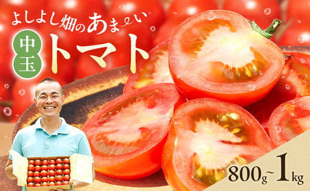トマト 中玉 よしよし畑 農家直送 トマト[800g〜1kg]