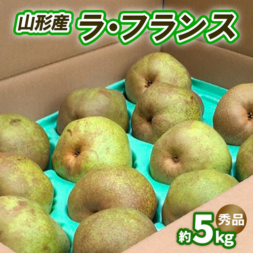 ラ・フランス 約5kg 秀品 (10～16玉) 3L～6L [11月発送]【令和8年産先行予約】FS25-742