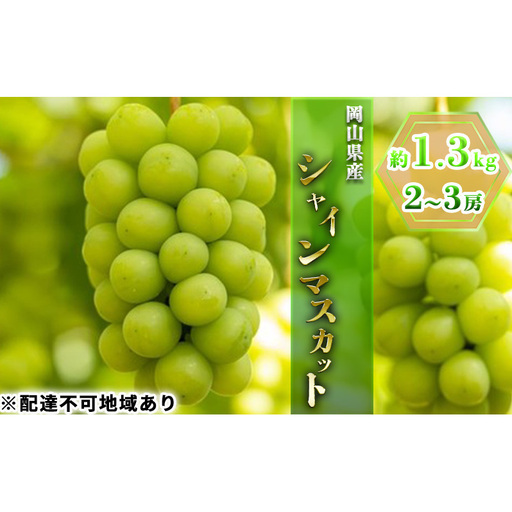 ぶどう 2026年 先行予約 シャイン マスカット 約1.3kg 2～3房 ブドウ 葡萄  岡山県産 国産 フルーツ 果物 ギフト