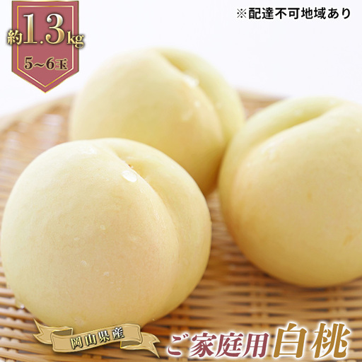 桃 2026年 先行予約 ご家庭用 岡山の 白桃 早生種 5〜6玉 合計約1.3kg 岡山県産 桃