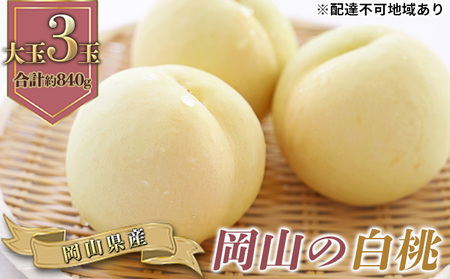 桃 2027年 先行予約 岡山の 白桃 大玉3玉 早生種 合計約840g