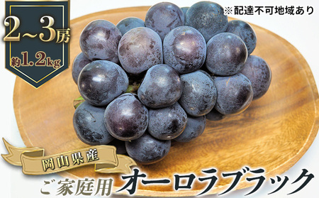ぶどう 2026年 先行予約 ご家庭用 オーロラブラック 2〜3房 合計約1.2kg ぶどう