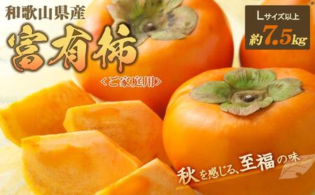 【訳あり・ご家庭用】和歌山県産 富有柿 約7.5kg【11月上旬から11月下旬頃順次発送】【S96006-mtgn050】