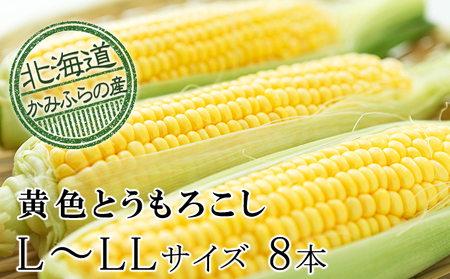 [令和8年産]朝採り[黄いとうもろこし]L〜LL 8本セット≪北海道上富良野町産≫ 野菜 トウモロコシ