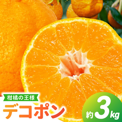 S053-002B_天草産 デコポン 3kg[先行予約] / デコポン 柑橘 みかん フルーツ