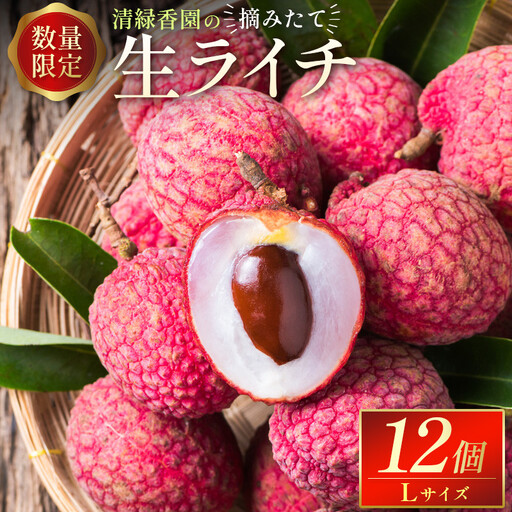 2027年出荷 数量限定 清緑香園の摘みたて「生ライチ」Lサイズ 12個 国産 宮崎県産 C235-27