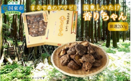 まるで森のアワビ!国東しいたけ香りちゃん(厳選200g)・通_29253A