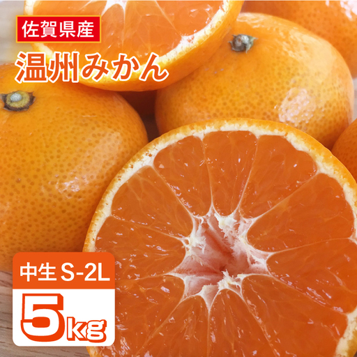 【先行予約・26年10月以降順次発送】 佐賀県産 中生みかん 5kg |みかん ミカン 蜜柑 フルーツ ふるーつ 果物 くだもの| 吉野ヶ里町/リエンサーク [FCC010]