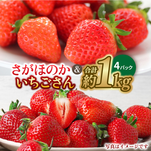 【先行予約・27年1月以降順次発送】さがほのか＆いちごさん 平パック×4P （約1kg）|いちご 果物 旬 イチゴ 苺 フルーツ 佐賀県産 佐賀産 佐賀| 吉野ヶ里町/リエンサーク [FCC004]