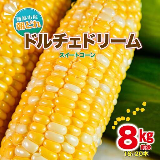 [先行予約]初夏の味覚!鮮度が命 村田さん家の朝どれスイートコーン『ドルチェドリーム』生産者直送2027年発送[63-2a]