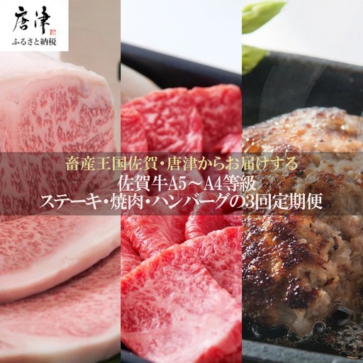 「定期便全3回」 佐賀牛 ステーキ250g×2・焼肉360g・ハンバーグ140g×10個 (合計2.26kg) 寄附翌月から発送 ステーキ ハンバーグ